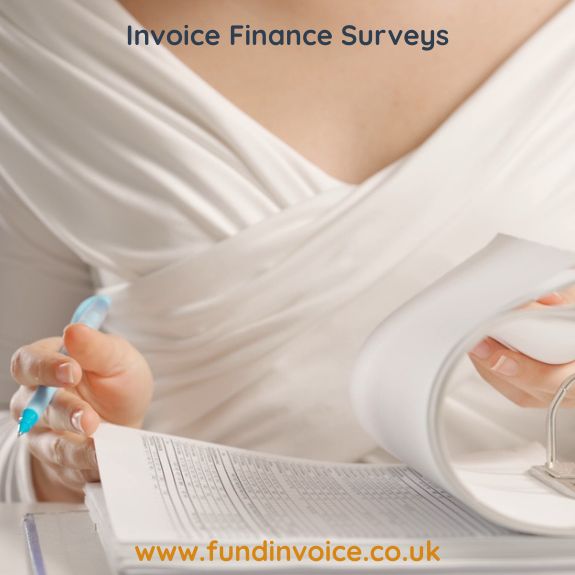 Invoice finance survey reviewing business records and invoices
